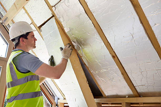 Best Specialty Insulation in Buena Vista, VA