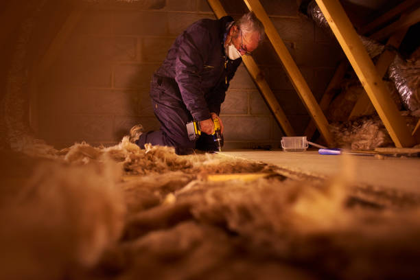 Best Insulation Materials and Products in Buena Vista, VA
