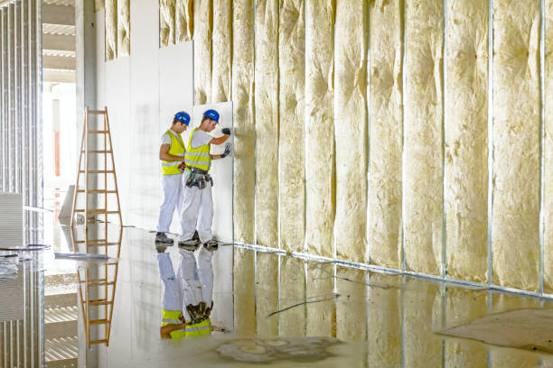 Best Insulation for Specific Applications in Buena Vista, VA